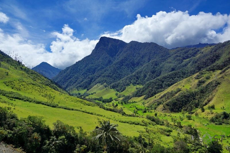 Kolumbien Reisen, View Of Valle De Cocora
